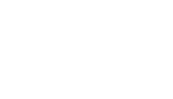 Vaillant white